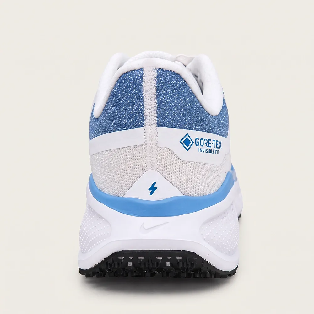 Air Zoom Pegasus 41 GORE-TEX - White